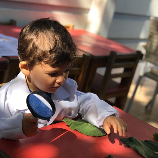 Gözlemle ve Öğren! Büyüteç Çocukların Bilim Becerilerini Nasıl Geliştirir?