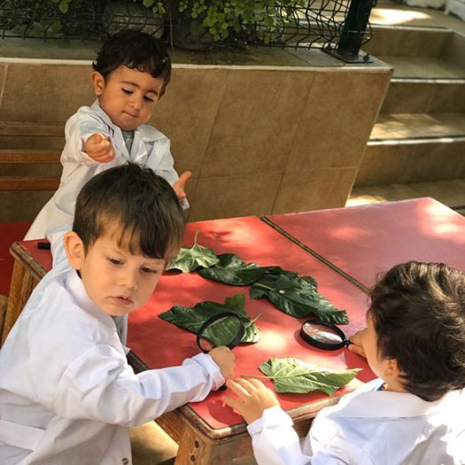 Gözlemle ve Öğren! Büyüteç Çocukların Bilim Becerilerini Nasıl Geliştirir?