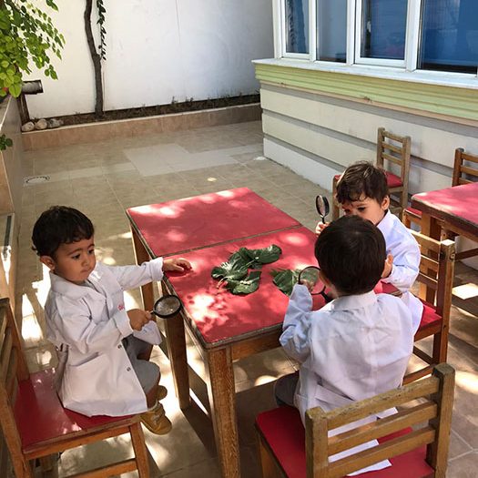Gözlemle ve Öğren! Büyüteç Çocukların Bilim Becerilerini Nasıl Geliştirir?